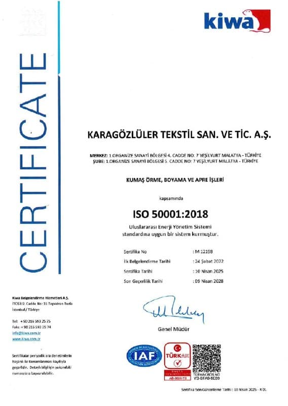 ISO 50001:2018